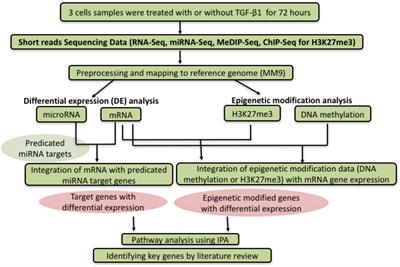 The Use of Targeted Next Generation Sequencing to Explore Candidate Regulators of TGF-β1’s Impact on Kidney Cells